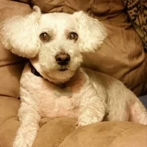 Meet your Posher, Margaret